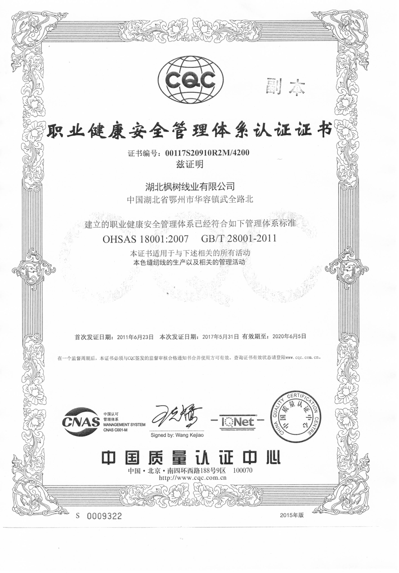 Occupational Health and Safety Management System Certificate